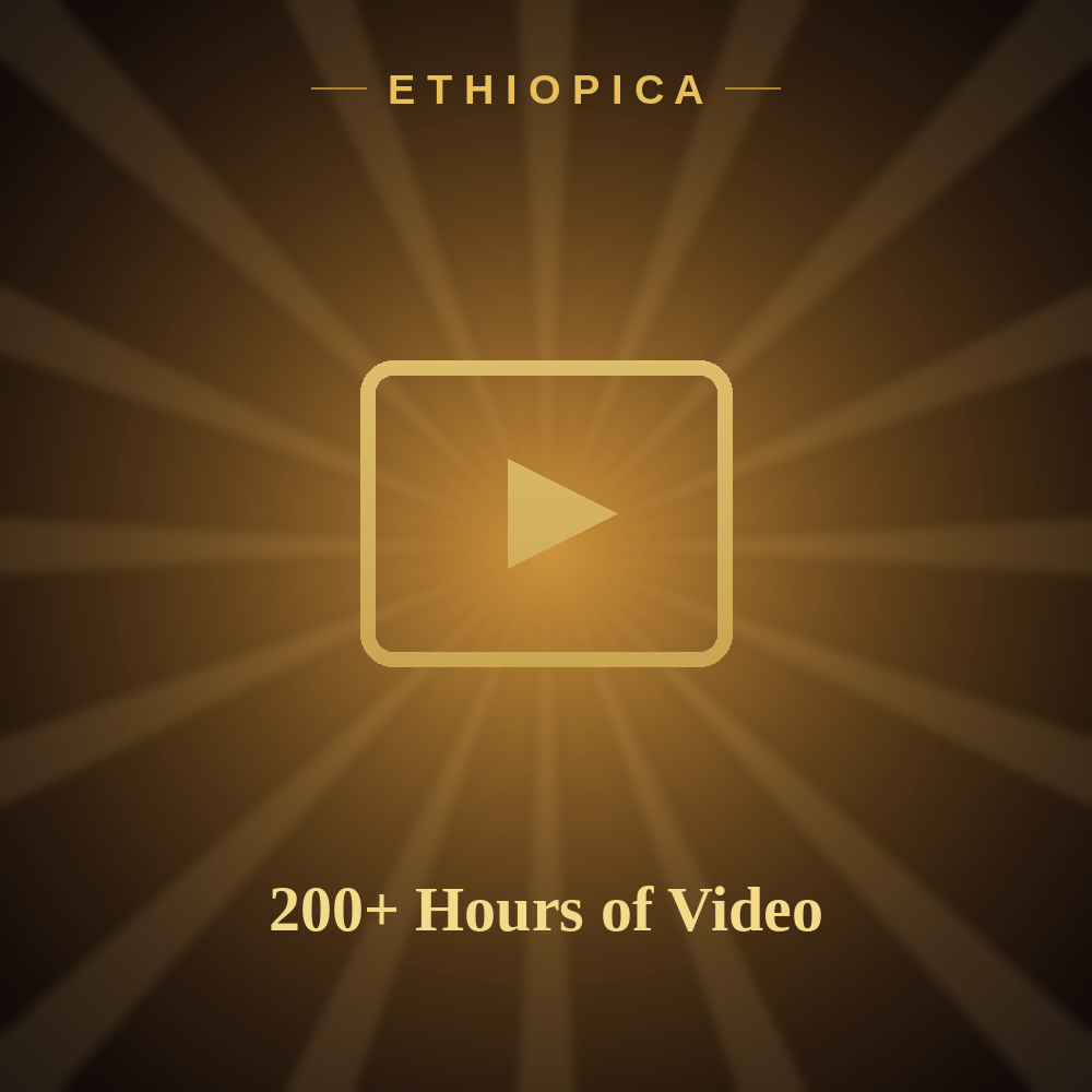 200+ Hours of Video Lessons