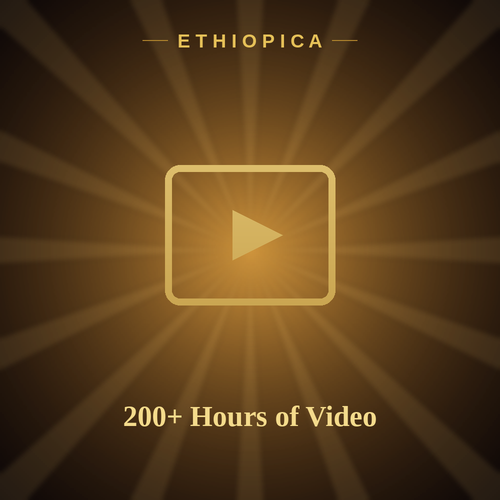 200+ Hours of Video Lessons